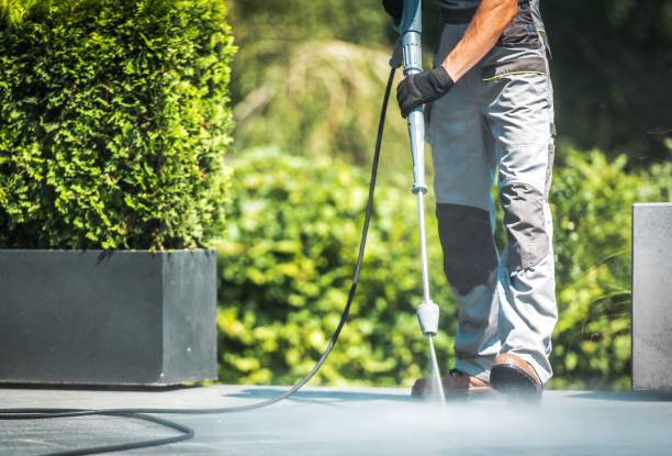 Best Driveway Pressure Washing  in Zumbrota, MN