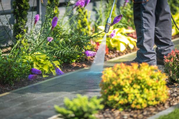 Reliable Zumbrota, MN Pressure Washing Services Solutions